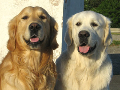 Benji et djack