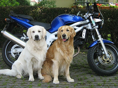 c'est la moto a not'maman