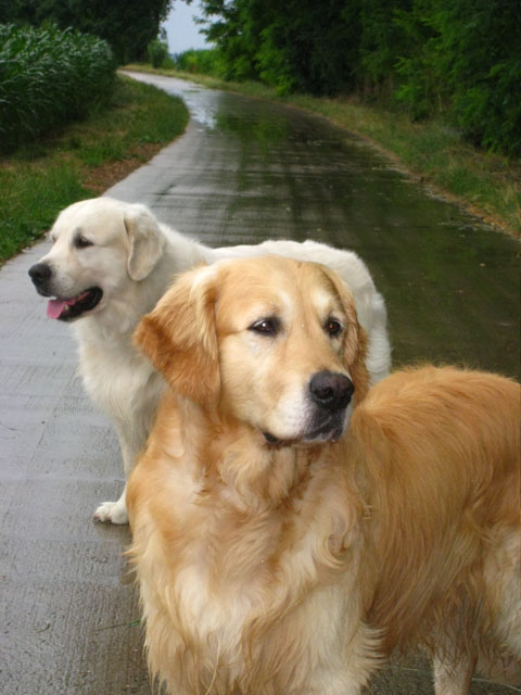 2010-07-17 Nieder 065
