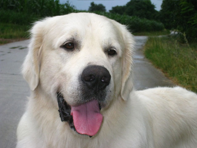 2010-07-17 Nieder 076