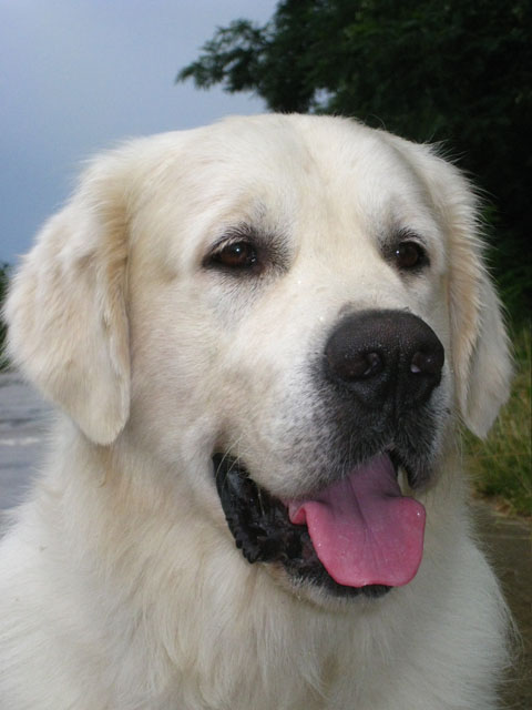 2010-07-17 Nieder 079
