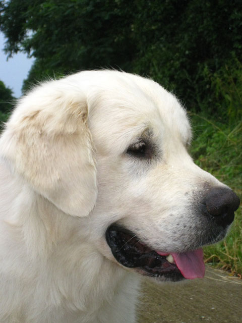 2010-07-17 Nieder 087