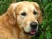 2010-07-17 Nieder 127