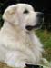 2010-07-17 Nieder 142