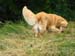 2010-07-17 Nieder 151