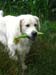 2010-07-17 Nieder 188