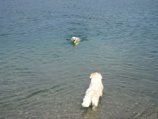 2010-07-04 Graviere 009