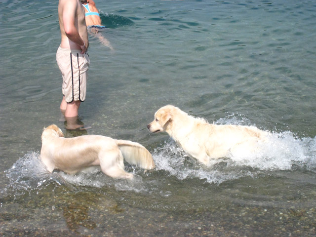 2010-07-04 Graviere 012