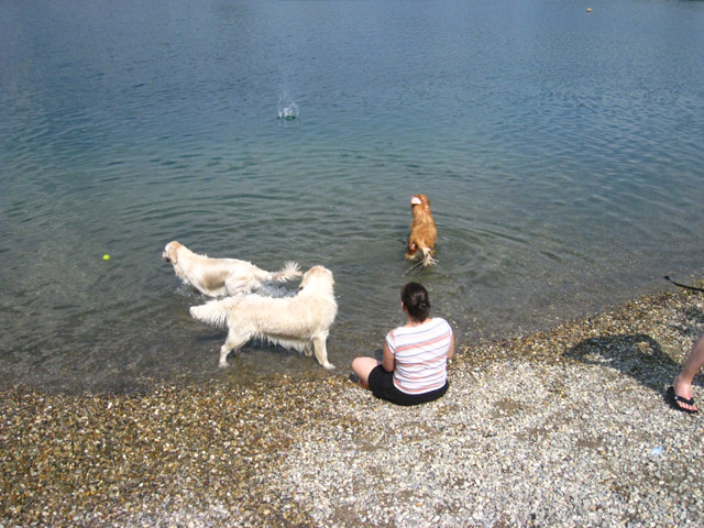 2010-07-04 Graviere 024