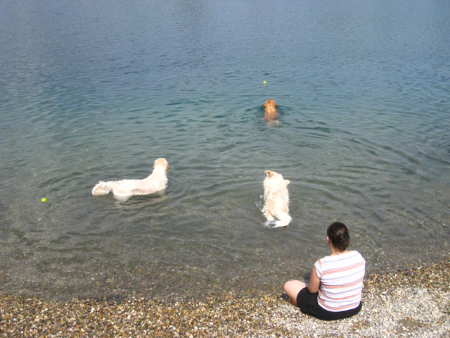 2010-07-04 Graviere 027