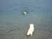 2010-07-04 Graviere 009