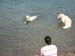 2010-07-04 Graviere 011