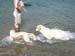 2010-07-04 Graviere 012