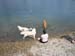 2010-07-04 Graviere 024