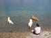 2010-07-04 Graviere 025