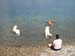 2010-07-04 Graviere 026
