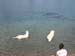 2010-07-04 Graviere 028