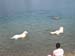 2010-07-04 Graviere 029