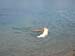 2010-07-04 Graviere 030