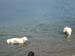 2010-07-04 Graviere 031
