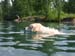 2010-07-04 Graviere 034