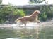 2010-07-04 Graviere 035