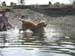 2010-07-04 Graviere 036