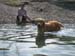 2010-07-04 Graviere 037