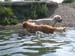 2010-07-04 Graviere 038
