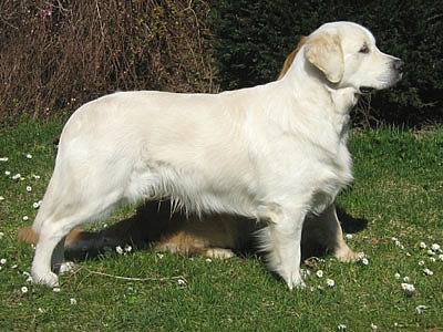 1 an