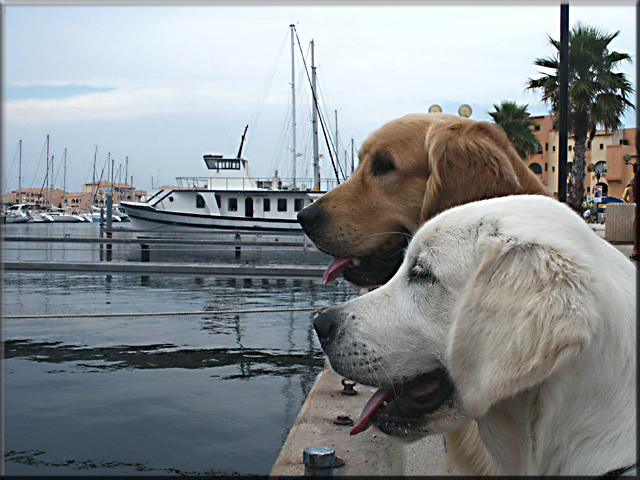 Benji et djack au Port
