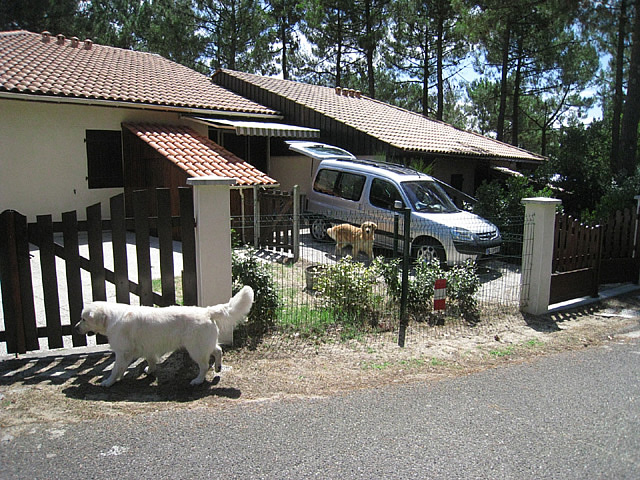 chez nous en vacances