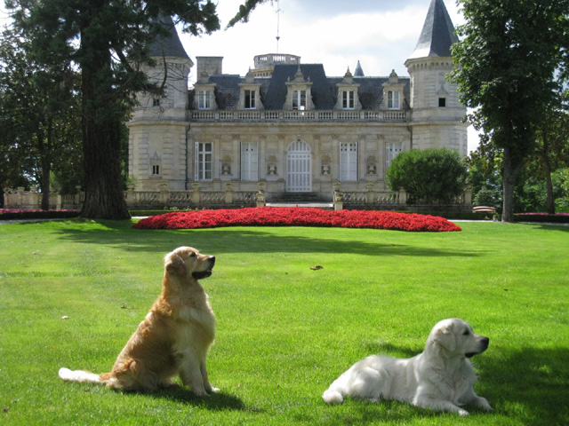 des Princes goldens au Château