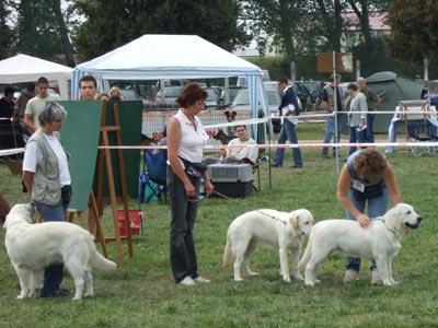 April, Atlas et Benji