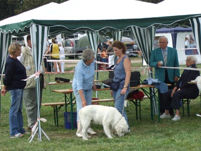 Benji et la Juge