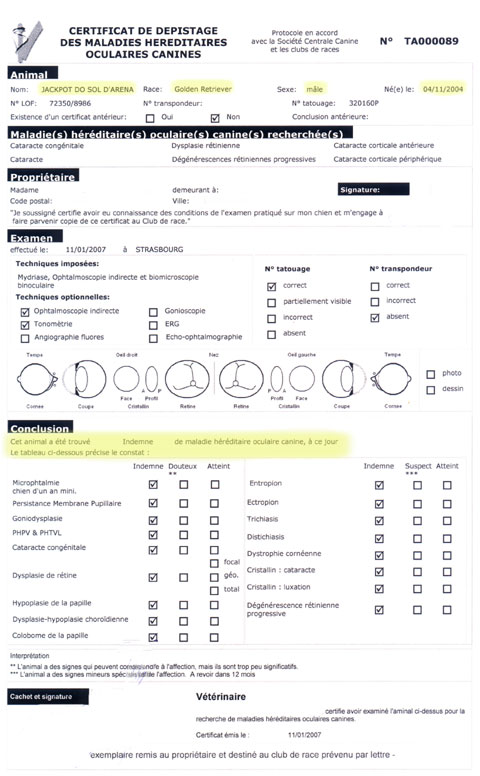 Certificat dépistage